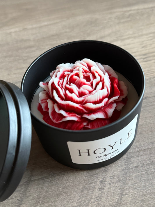 Peonlys i tinnboks - 1 stk.