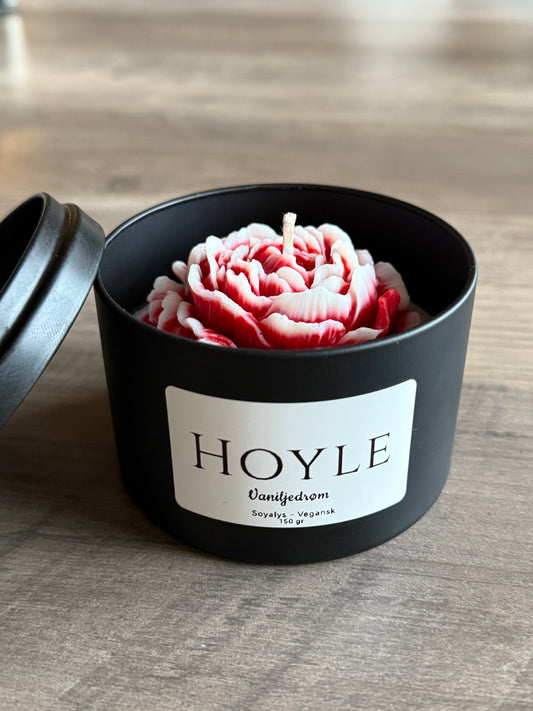 Peonlys i tinnboks - 1 stk.